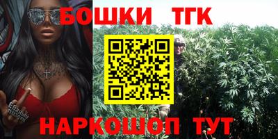 гашик Кинель