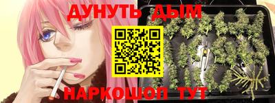 мдма Кингисепп