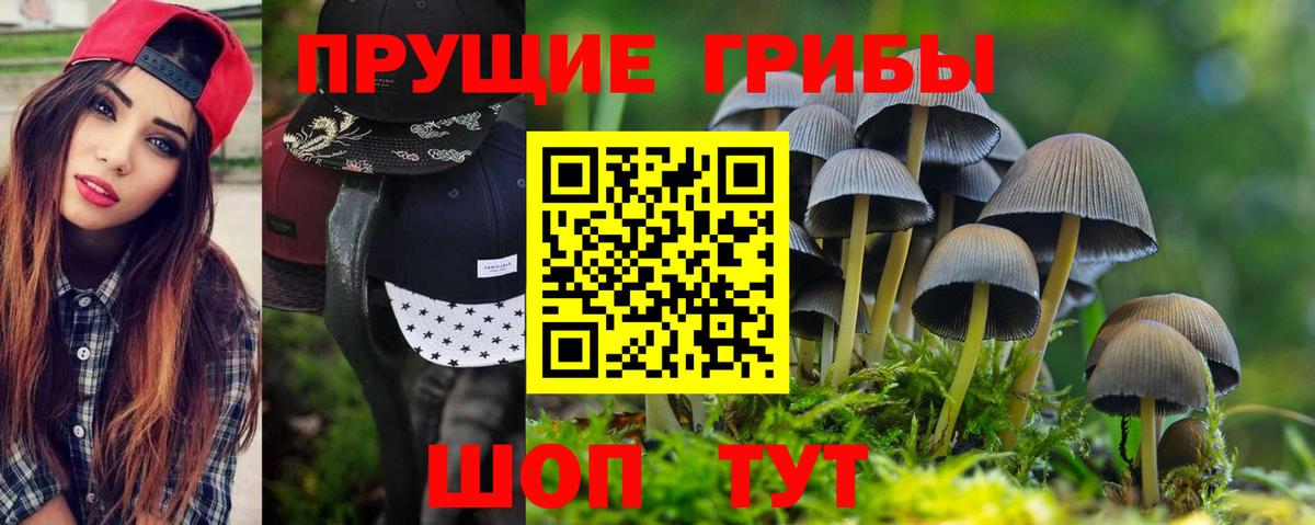 Псилоцибиновые грибы Psilocybe  где купить наркоту  Соль-Илецк  Вход с VPN 